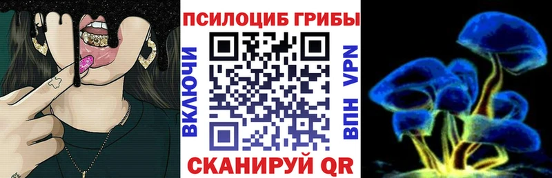 Псилоцибиновые грибы GOLDEN TEACHER  Купить где  Комсомольск 